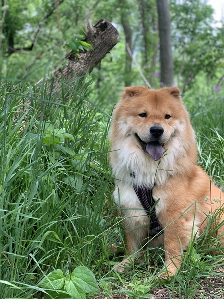 Entry image for Bastian. Clicking this image will show a larger photo
