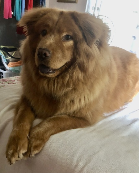 Entry image for Charlie. Clicking this image will show a larger photo