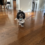 Entry image for Chloe