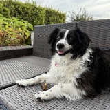 Entry image for Bella Bear Lejunas