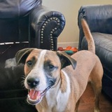 Entry image for Luna