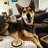 Entry image for Freki