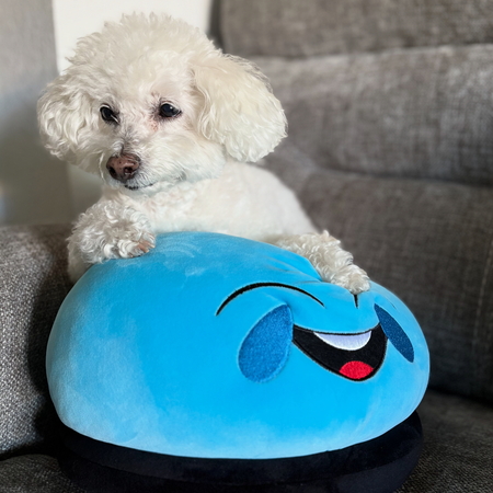 Entry image for Juju. Clicking this image will show a larger photo