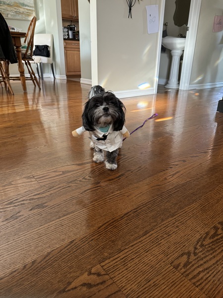 Entry image for Chloe. Clicking this image will show a larger photo