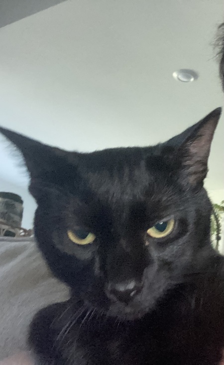 Entry image for Darwin. Clicking this image will show a larger photo