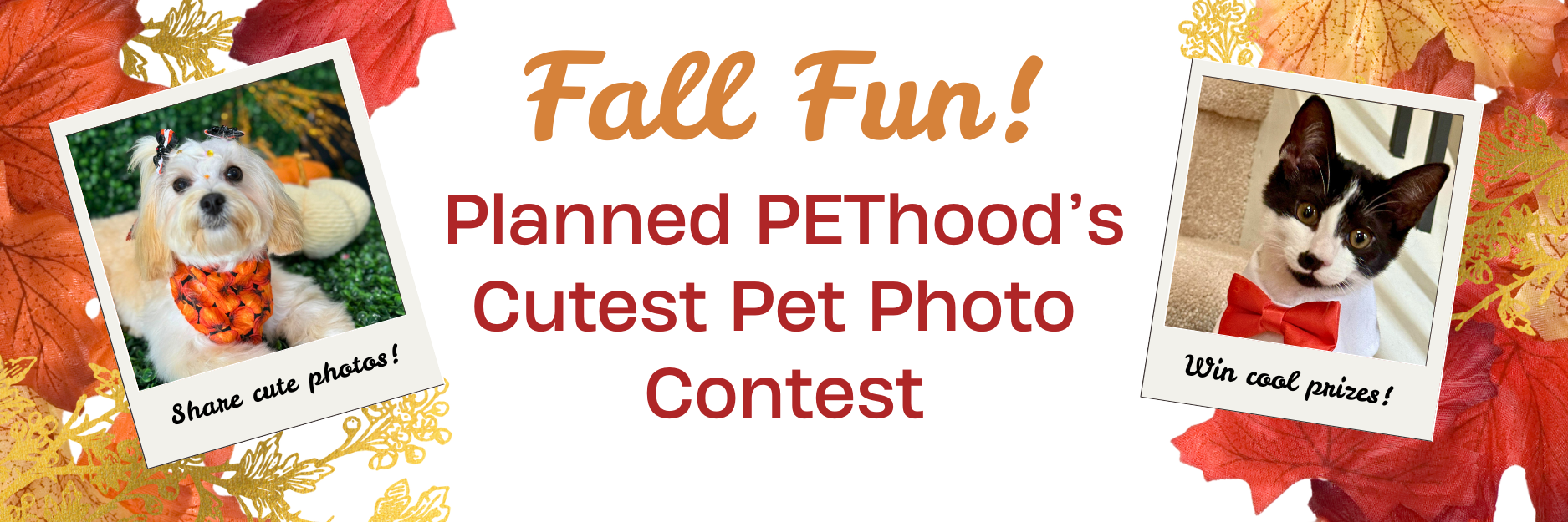 Banner for Fall Fun! Planned PEThood's Cutest Pet Photo Contest