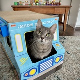 Entry image for Twyla Gray