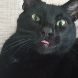 Entry image for Binx