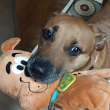 Entry image for Reid