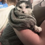 Entry image for Lt. Dan