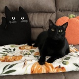 Entry image for Sophie Joy