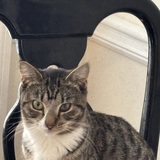 Entry image for Diego 