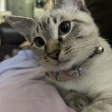 Entry image for Louis