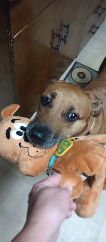 Entry image for Reid. Clicking this image will show a larger photo