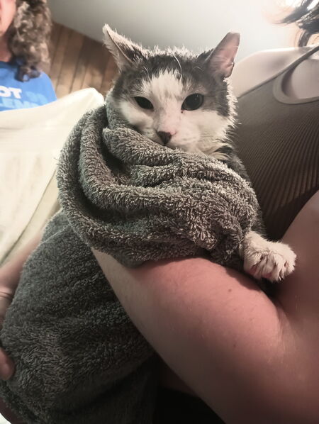 Entry image for Lt. Dan. Clicking this image will show a larger photo