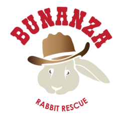 Logo for 2026 Bunanza Rabbit Rescue Calendar