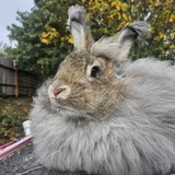 Entry image for Winnie Winifred 