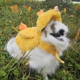 Entry image for Cloudy