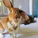 Entry image for Mama Mable