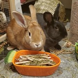 Entry image for Butterscotch and Blackberry