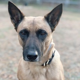 Entry image for Reno