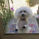 Entry image for Sweetie