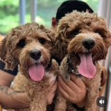 Entry image for Twin Brothers Russell and Bruno