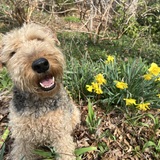 Entry image for HOPE