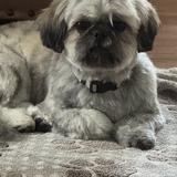 Entry image for Rafa 