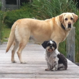 Entry image for Moe & Barney 