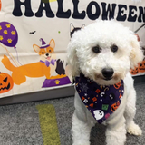 Entry image for Lucky