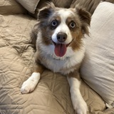 Entry image for Josie 