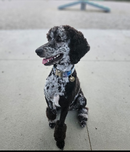 Entry image for Sky. Clicking this image will show a larger photo