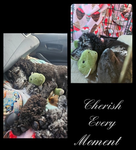 Entry image for Sky. Clicking this image will show a larger photo