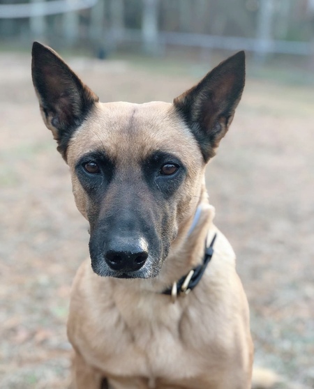 Entry image for Reno. Clicking this image will show a larger photo