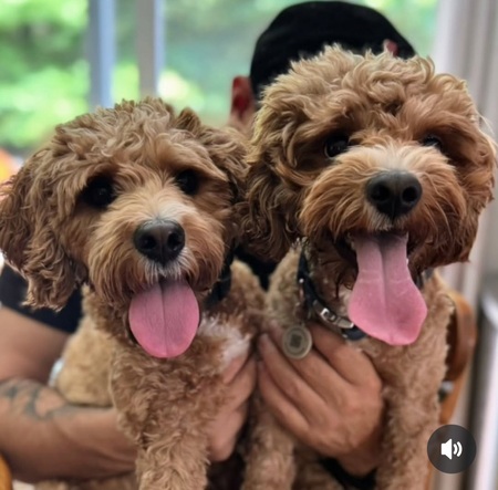 Entry image for Twin Brothers Russell and Bruno. Clicking this image will show a larger photo