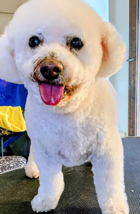 Entry image for Ben. Clicking this image will show a larger photo