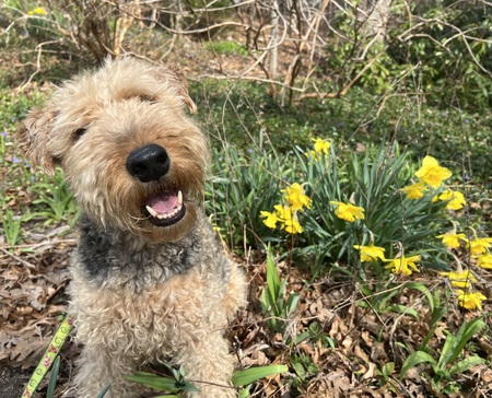 Entry image for HOPE. Clicking this image will show a larger photo