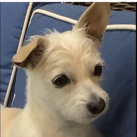 Entry image for Bea. Clicking this image will show a larger photo