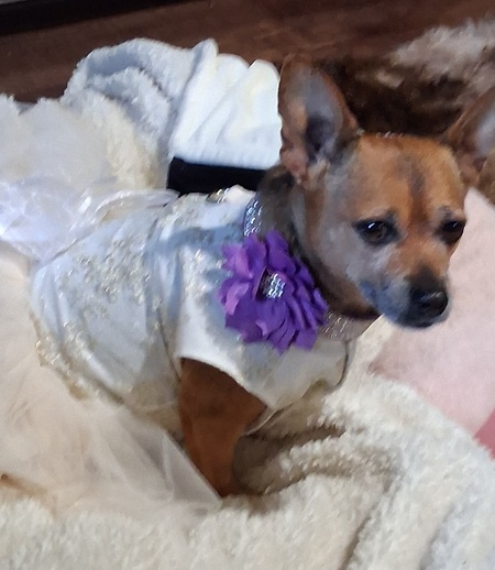 Entry image for Malibu. Clicking this image will show a larger photo