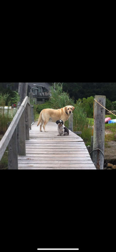 Entry image for Moe & Barney . Clicking this image will show a larger photo