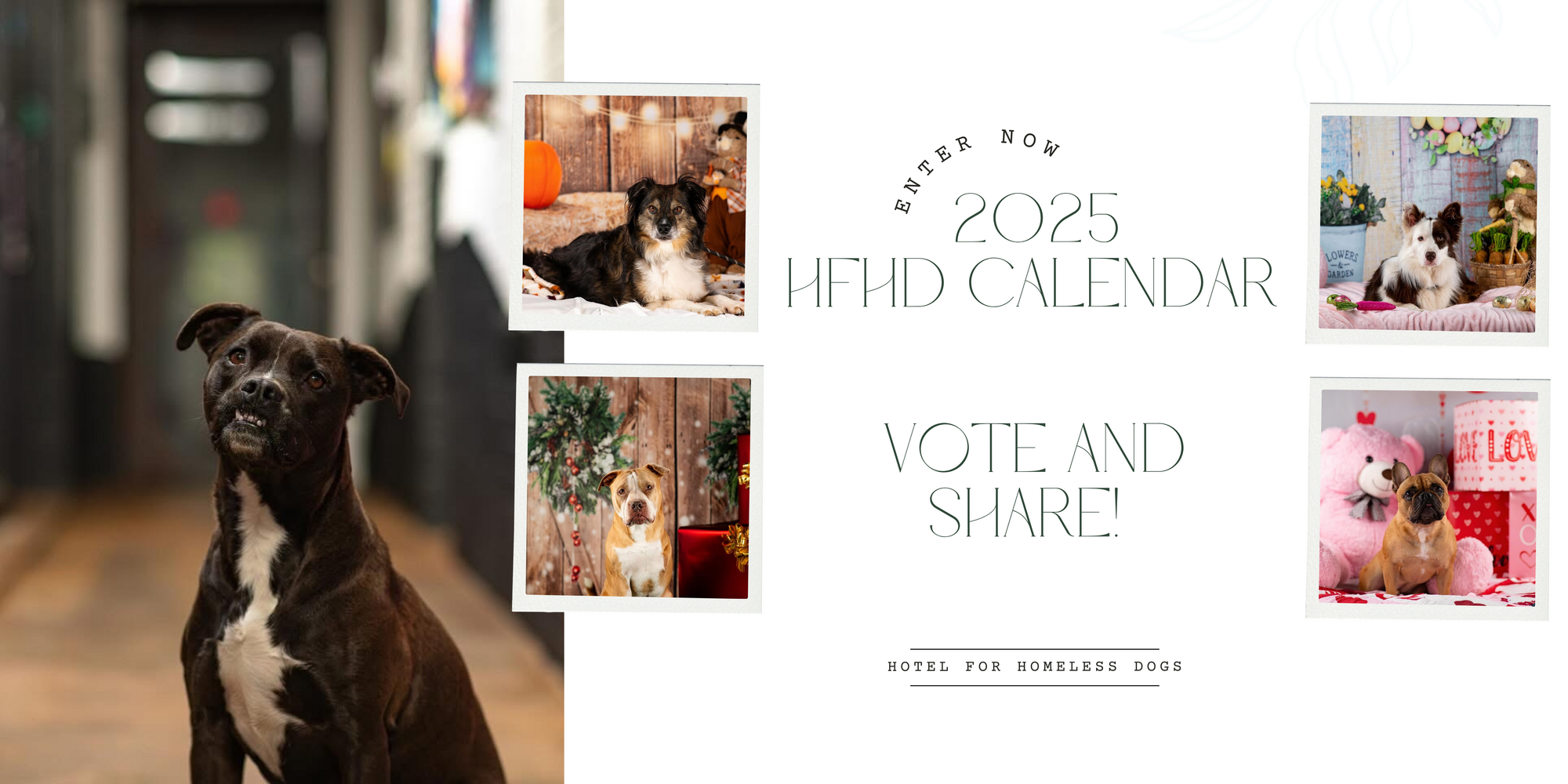 Banner for The Hotel for Homeless Dogs 2026 Pet Photo Contest