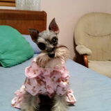 Entry image for Princess