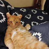 Entry image for Bobby