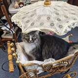 Entry image for Karl