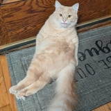 Entry image for Jasper