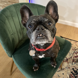 Entry image for Joni