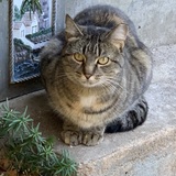 Entry image for Katie Jean 