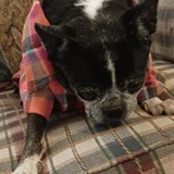 Entry image for Maggie Moo