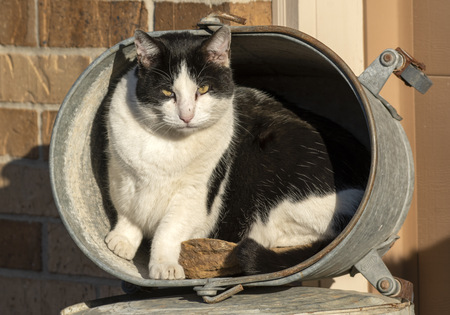 Entry image for Tucker. Clicking this image will show a larger photo